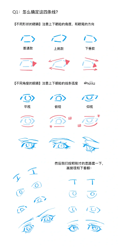 用户JZMs2RCN采集到眼睛