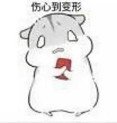仓鼠,仓鼠夫妇,萌萌哒,表情包-堆糖,美好生活研