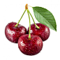Cherry season is a bloomin’ good time | Health Check Program