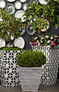 A corded-rope pattern wraps the Madison Black and White Planter in a refreshing twist of contemporary designing. | Frontgate: Live Beautifully Outdoors: 