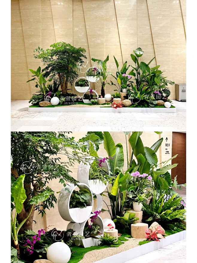 绿植租摆1天完成17组造景高效团队-花瓣网