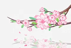 手绘装饰春天樱花高清素材 手绘插画 手绘花卉 春天 樱花 花枝 装饰图案 鲜花 免抠png 设计图片 免费下载