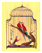 Fly Away Show on Behance