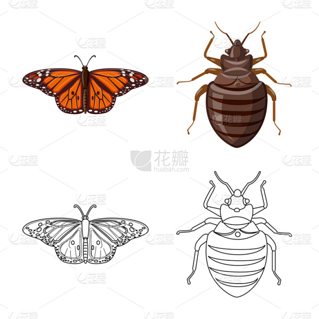 分离着色,昆虫,标志,两翼昆虫,一个物体...