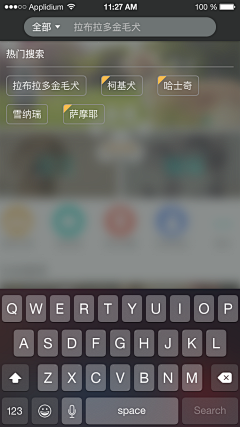 露露女神爱鞠酱采集到UI-搜索