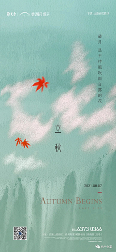木木精灵采集到节日节气