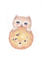 #猫# #插画#