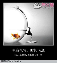 姑娘她的故事采集到何以扯淡