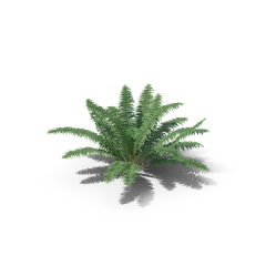 墨暖211采集到合成素材--植物/自然/背景