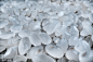 VCG41N1210762795