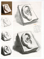 素描石膏 石膏五官 耳朵 全因素 结构,美术作品图库-美术宝图库