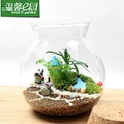 温馨e园 苔藓微景观 苔藓瓶生态瓶 创意绿植 生日礼物 龙猫-田园