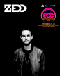 ElectricDaisyCarnival