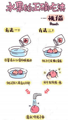 江江江若愚采集到水果大餐