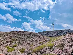 乌蒙大草原｜今年的杜鹃花更美更壮观了 - 小红书