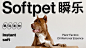 softpet瞬乐-宠物沐浴产品包装设计-古田路9号-品牌创意/版权保护平台