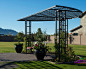 Modern Patio Design Ideas, Pictures, Remodel & Decor with a Pergola
