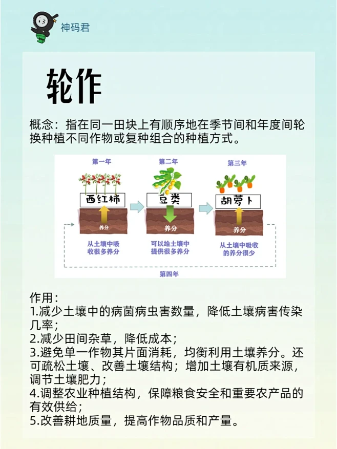 轮作间作套种，免耕垄作连作休耕 - 小红...
