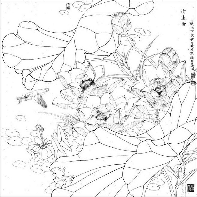 荷花翠鸟.jpg