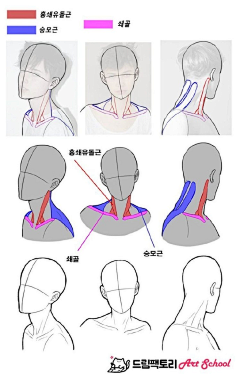 AmayaMiss采集到人体速写/动态练习