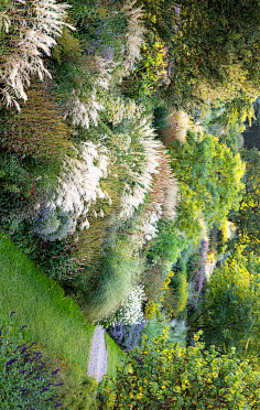 la绿植软景细节