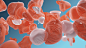 C4D (744)