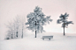 003-winter-photography