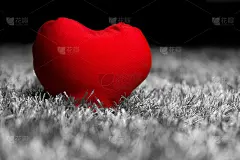 红心在柔软，蓬松，舒适的地毯上，黑白背景特写。情人节