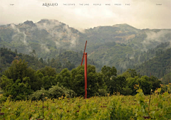 Wujiahui1pm采集到30 Stunning Website Designs Insp