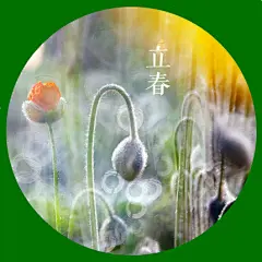 立春，是二十四节气中的第一个节气，明清官方历书中被归入正月节气；到达时间点在公历每年2月3-5日（农历正月初一前后），太阳到达黄经315°时。
立春是汉族民间重要的传统节日之一。“立”是“开始”的意思，自秦代以来，中国就一直以立春作为春季的开始。从立春交节当日一直到立夏前这段期间，都被称为春天。