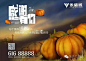 640.webp