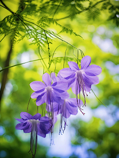 清翎er采集到花草/花器