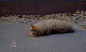 FullSizeRender.jpg 587×352 pixels