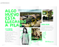 WOW Pilar Branding + Site Specific on Behance