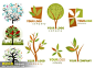 矢量 树 树叶 树枝 树干 时尚树木 树叶标志 logo #矢量素材# ★★★http://www.sucaifengbao.com/vector/shijie/
