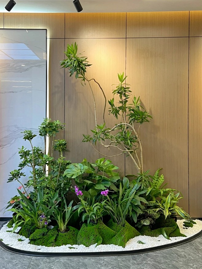 集团办公室入口_玄关开放式绿植造景_1_言無花植_来自小红书网页版