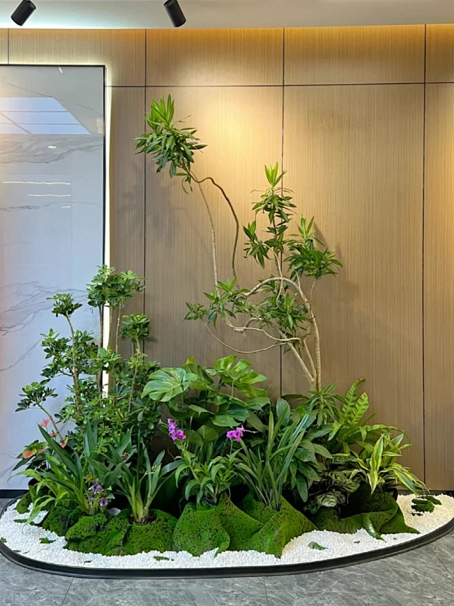 集团办公室入口_玄关开放式绿植造景_1_言無花植_来自小红书网页版-花瓣网