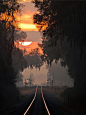 日出轨道，湖公园，格鲁吉亚
Sunrise Rail, Lake Park, Georgia