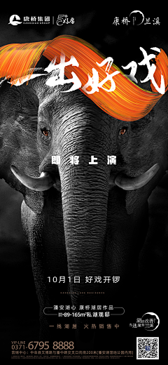 丶130采集到动物