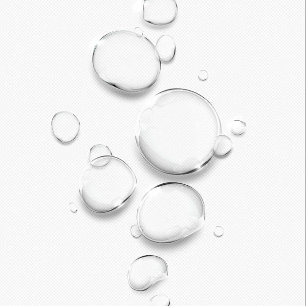 Premium PSD | Transp...