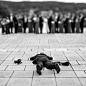 funny-wedding-photographers-taking-perfect-shot-behind-the-scenes-8