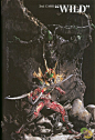 S.I.C.HERO SAGA 单行本第三弹 日版_假面骑士吧_百度贴吧