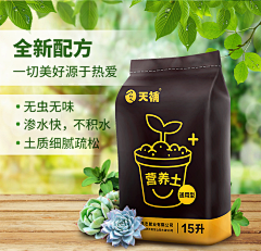 哼着歌的海鸥采集到主图