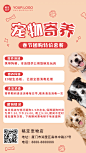 春节宠物寄养手机海报