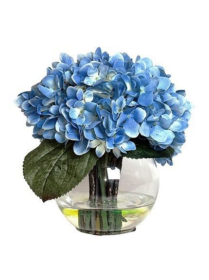 Blue Hydrangea In Wa...