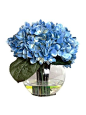 Blue Hydrangea In Water at MYHABIT Life-like floral arrangement in faux water and elegant glass vase Country of origin: United States Material type: Glass, Manmade Material Item Dimensions: height 9", width 9", depth 9"
