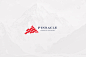 Pinnacle Financial : Branding | Illustration