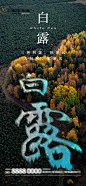 白露节气海报-源文件