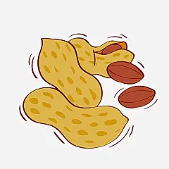 花生插画_新图网 https://ixintu.com 花生 坚果 花生米