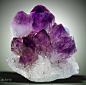 紫晶，10.1厘米
Jackson Crossroads, Wilkes Co., Georgie, U.S.A
收藏：Irv BROWN, San Diego, Californie, U.S.A
摄影：Stuart WILENSKY